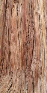 高清红褐色木纹纹理