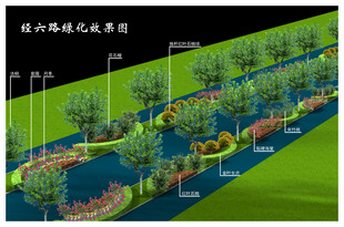 道路绿化效果图