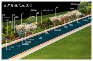 道路绿化施工图