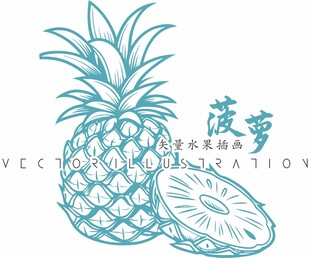 菠萝插画