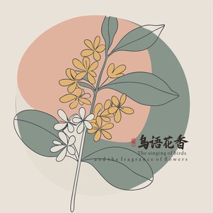 桂花插画