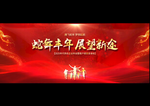 蛇年年会展板