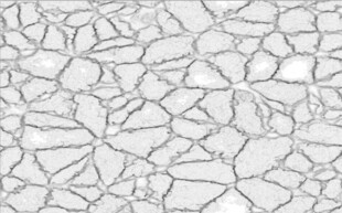 高清斑驳白色墙面纹理
