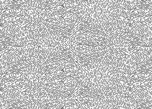 2024年最新经典纹路