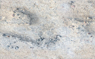 高清浅黄色斑驳岩石纹理