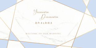 婚礼迎宾婚礼签到几何婚礼背景