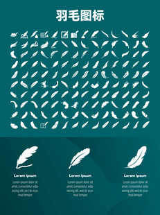 羽毛图标