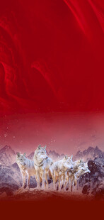 红色背景狼群海报营销