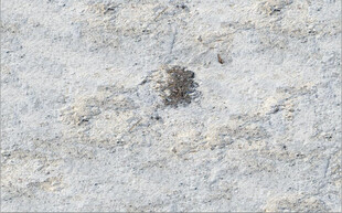 高清斑驳灰色岩石纹理