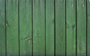 高清斑驳绿色木纹纹理