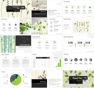 极简手绘插画植物花卉艺术风PP