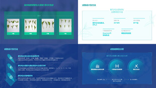 野生茶叶芽叶研究论文PPT