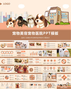 宠物医院宠物用品宣传ppt