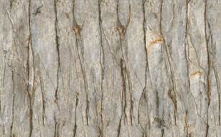 高清咖啡色大理石石纹