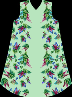 蕨类植物定位花左右花