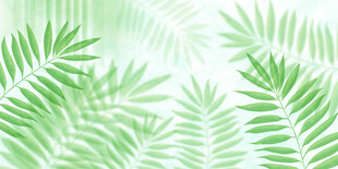 热带雨林植物玻璃背景墙