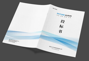 投标书封面