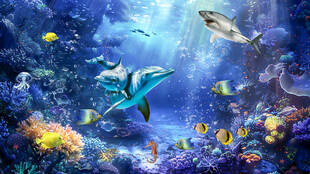 海底之家海底世界