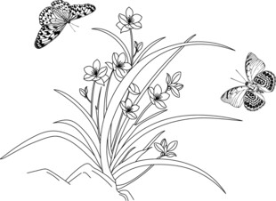 兰花 蝴蝶 矢量图