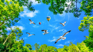 蓝天白云软膜天花