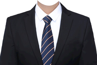 男西装西服条纹蓝色领带 证件照
