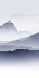 高雅 意境高档玄关 TiF分层