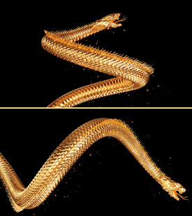 金蛇飞舞动画带通明通道