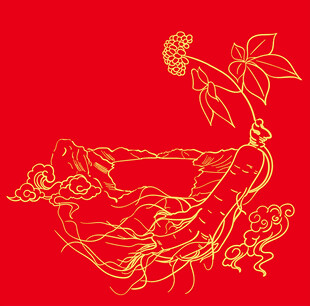 原创手绘长白山人参线条矢量插画