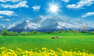 蓝天白云大草原