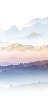 爆款 意境高档玄关 tif分层