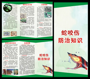 蛇咬伤三折页