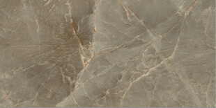 高清深咖网金丝釉大理石