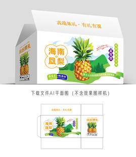 海南凤梨包装