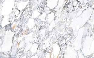 高清鱼肚白网纹大理石