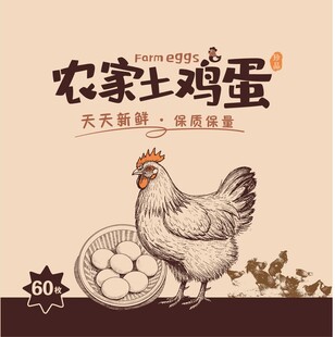 农家土鸡蛋 包装  鸡蛋海报 