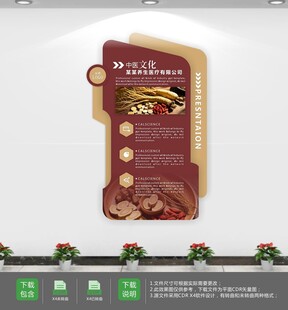 中医院文化墙