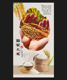 大米海报
