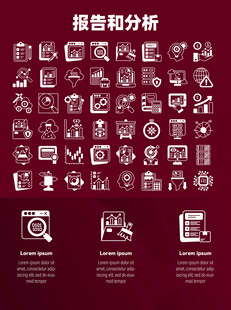 报告和分析
