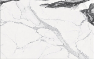 高清墨韵熊猫白大理石