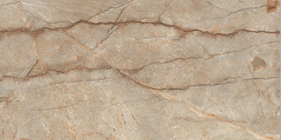 棕色索菲特金大理石