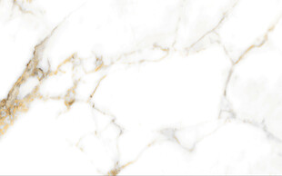 爵士白鱼肚金大理石