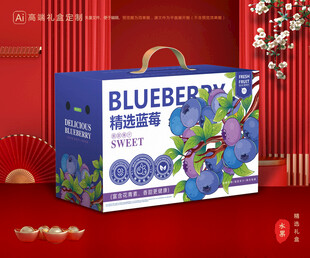 蓝莓包装 水果礼盒