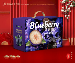蓝莓包装 水果礼盒