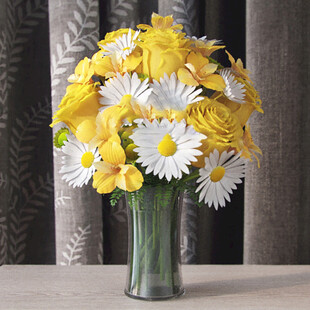 黄白花 植物 C4D