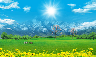 屏风蓝天大草原背景图