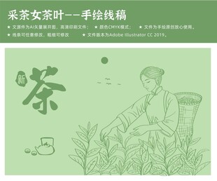 绿茶采摘茶叶包装采茶的女人