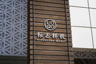 LOGO样机