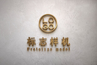 高端LOGO样机