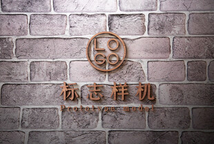 高端LOGO样机