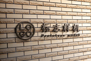 高端LOGO样机